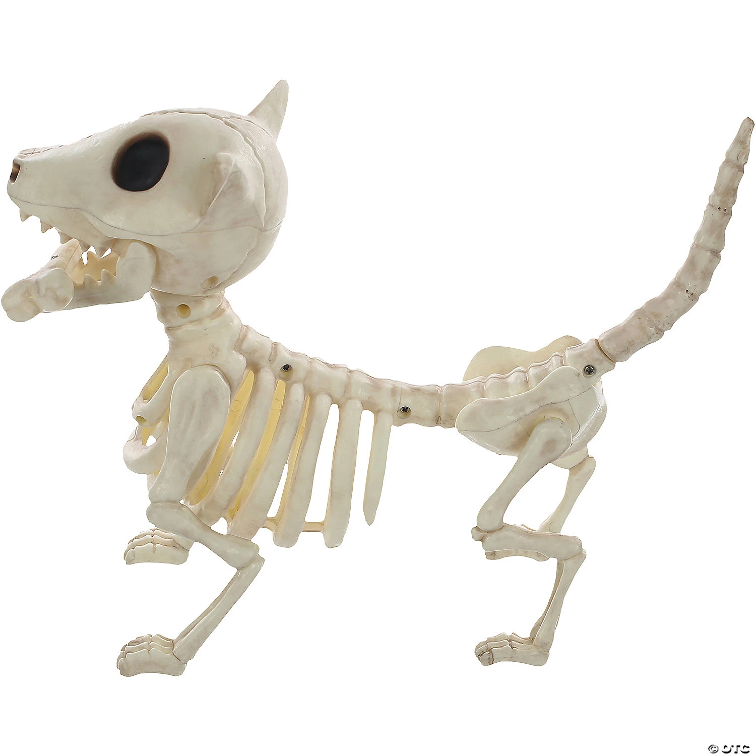 11" Digger The Skeleton Dog Decoration 3 11" Digger The Skeleton Dog Decoration - Image 3