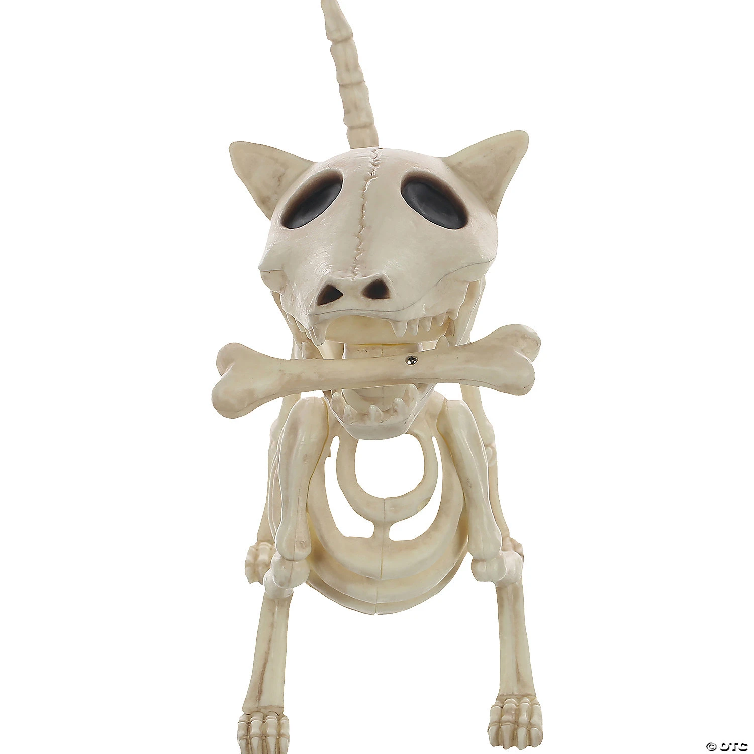 11" Digger The Skeleton Dog Decoration 4 11" Digger The Skeleton Dog Decoration - Image 4