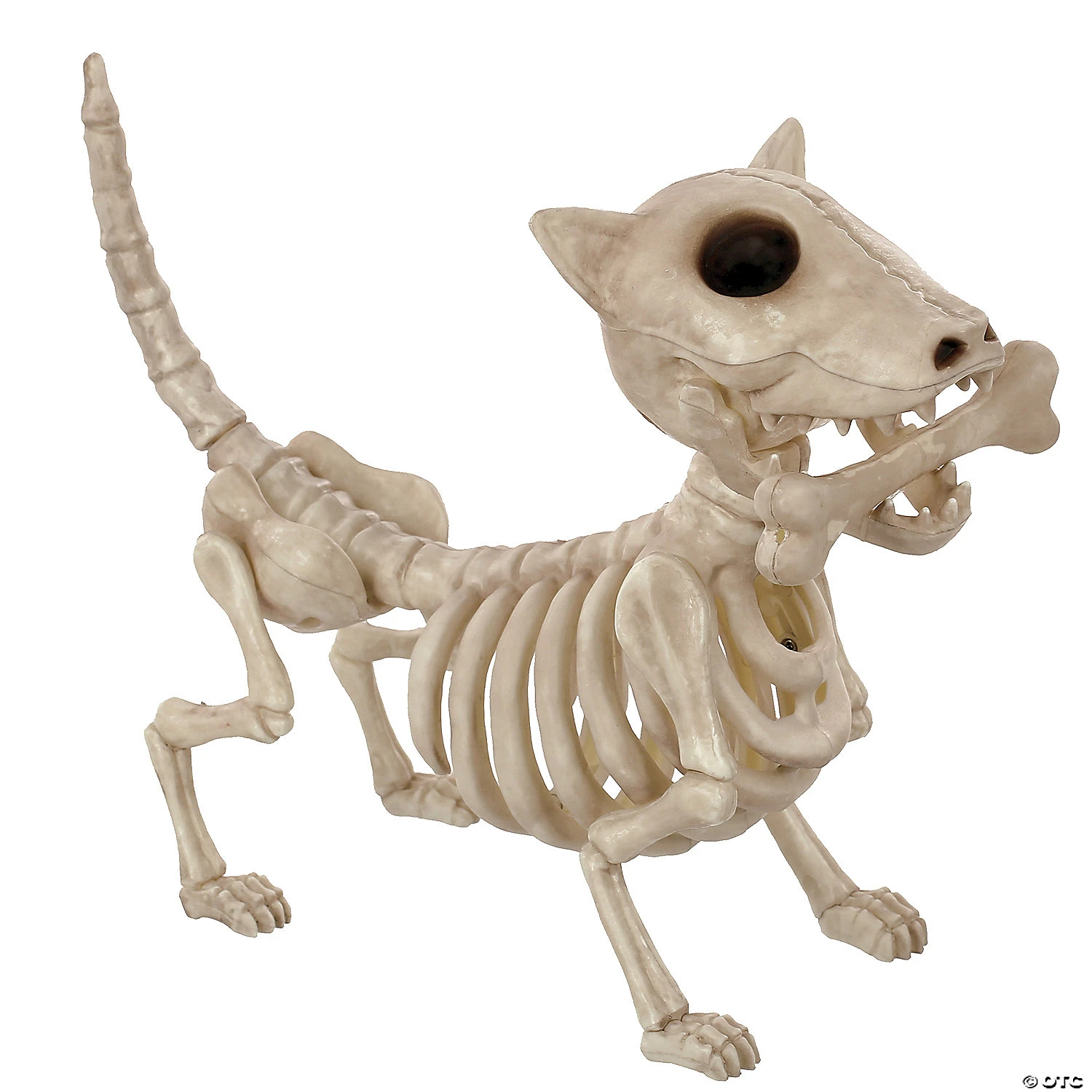 11" Digger The Skeleton Dog Decoration 1 11" Digger The Skeleton Dog Decoration