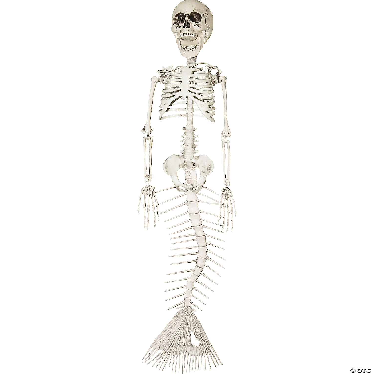 18" Skeleton Mermaid 1 18" Skeleton Mermaid
