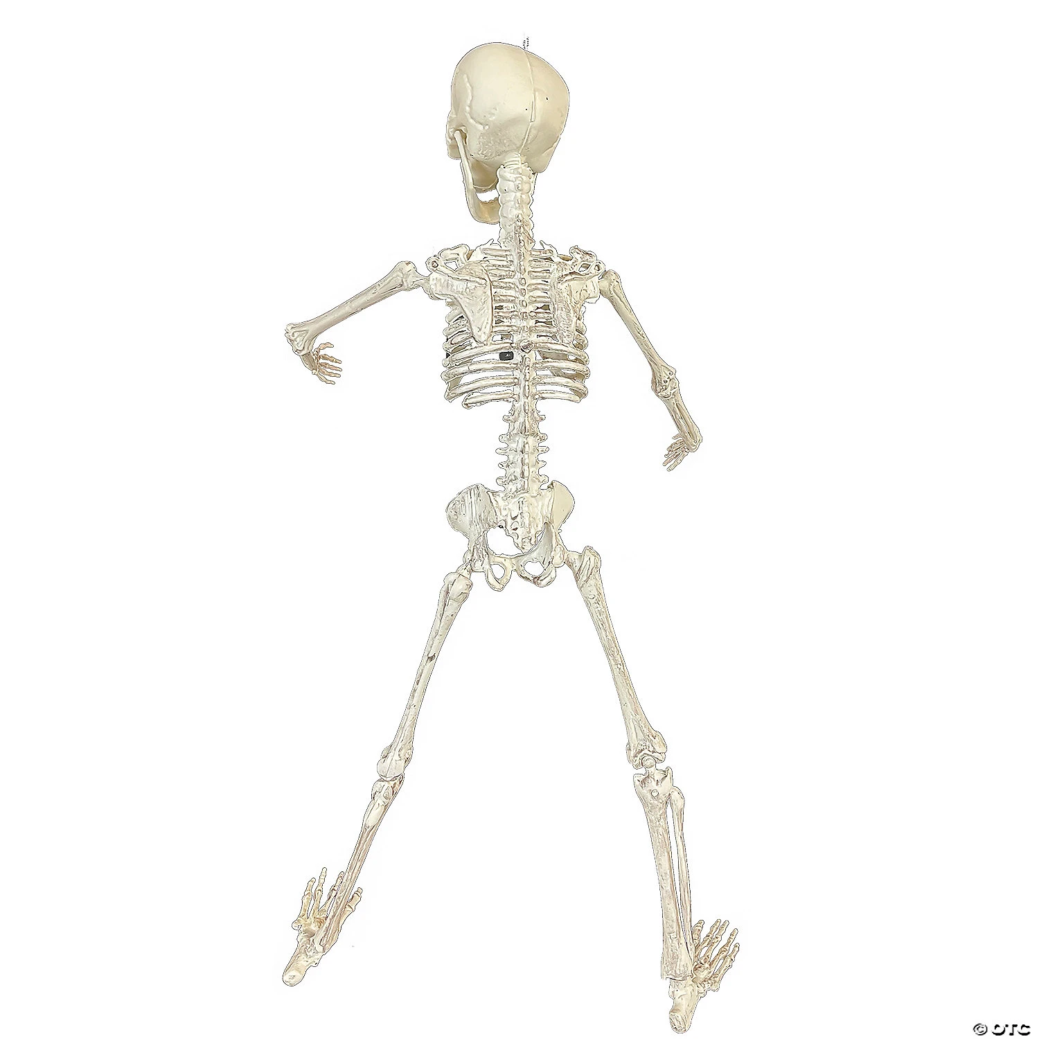 19" Poseable Skeleton Decoration 2 19" Poseable Skeleton Decoration - Image 2