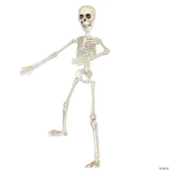 19" Poseable Skeleton Decoration 6 19" Poseable Skeleton Decoration -Halloween Decoration Sale 19 poseable skeleton decorationss89504 a02