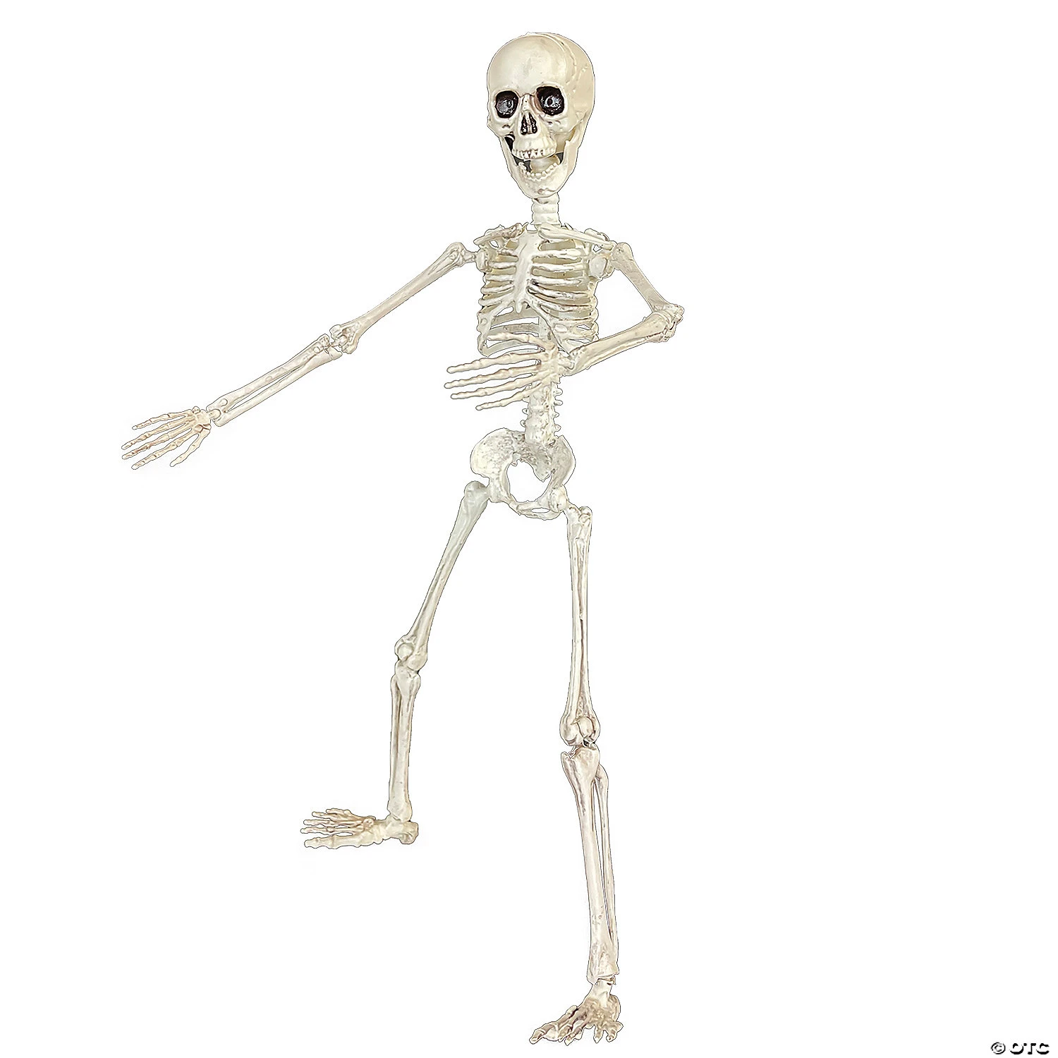 19" Poseable Skeleton Decoration 3 19" Poseable Skeleton Decoration - Image 3