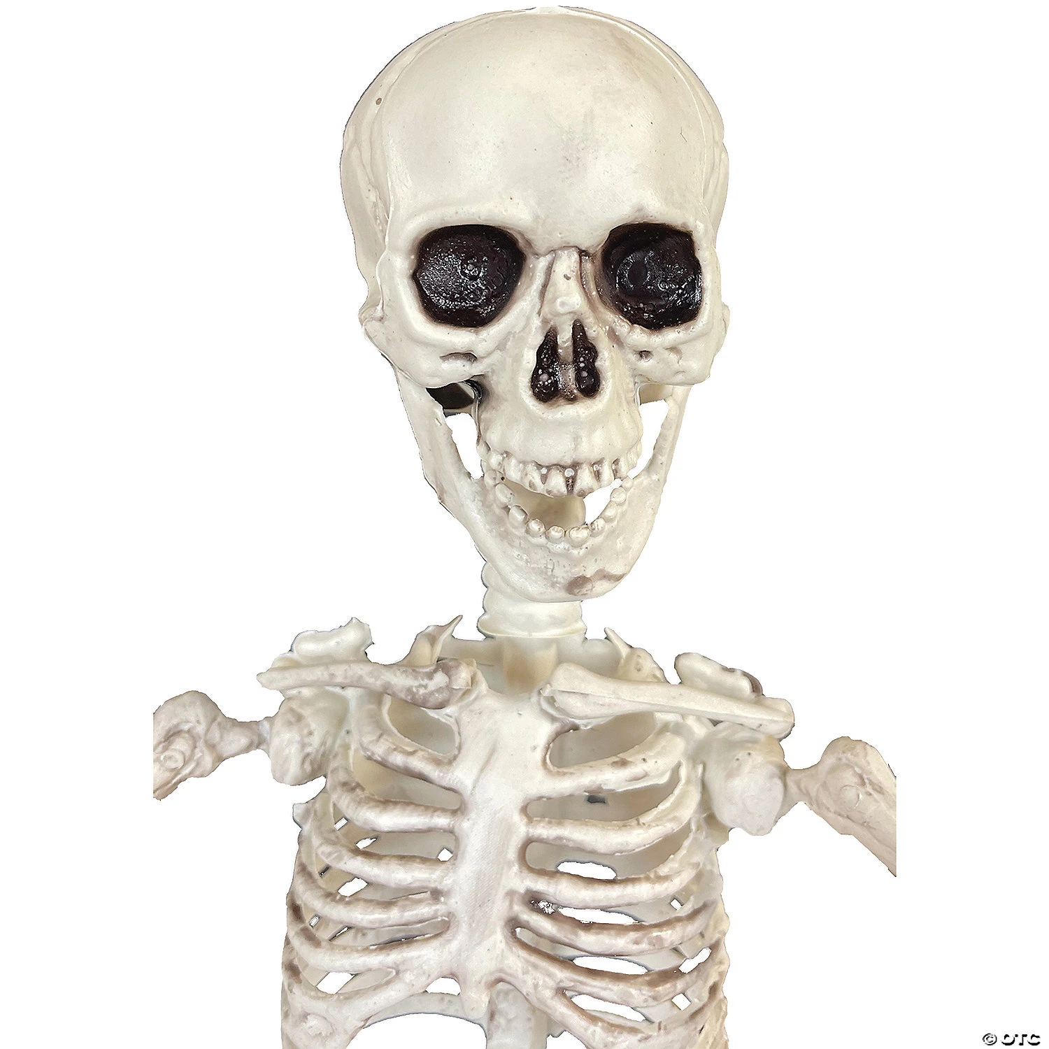 19" Poseable Skeleton Decoration 4 19" Poseable Skeleton Decoration - Image 4