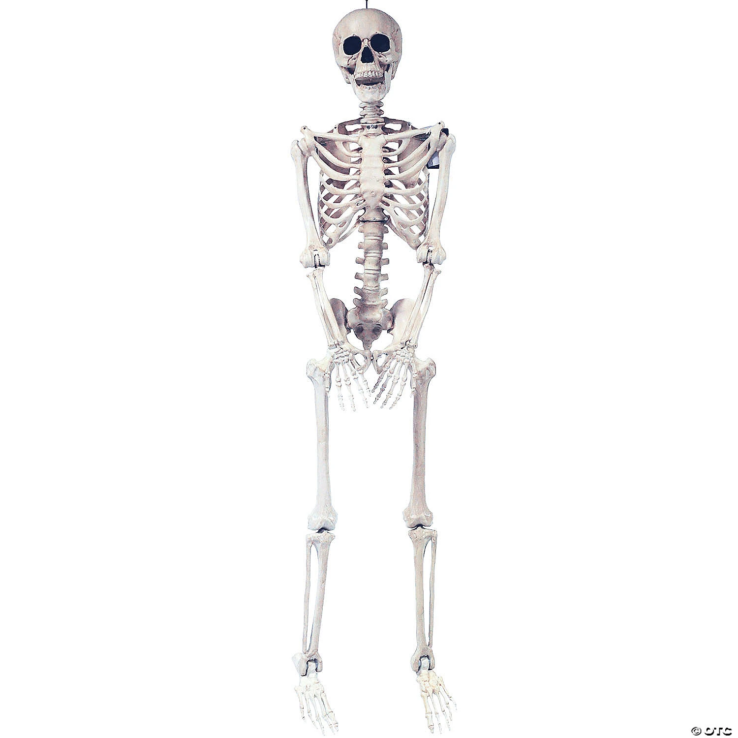 5 Ft. Skeleton Pose & Hold Halloween Decoration 1 5 Ft. Skeleton Pose & Hold Halloween Decoration