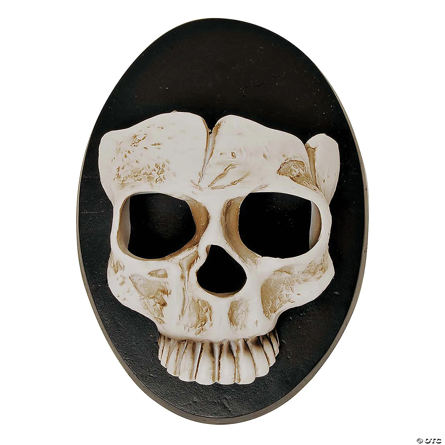 6" Skull Wall Sconce Halloween Décor 1 6" Skull Wall Sconce Halloween Décor