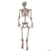 62" Poseable Skeleton Decoration
