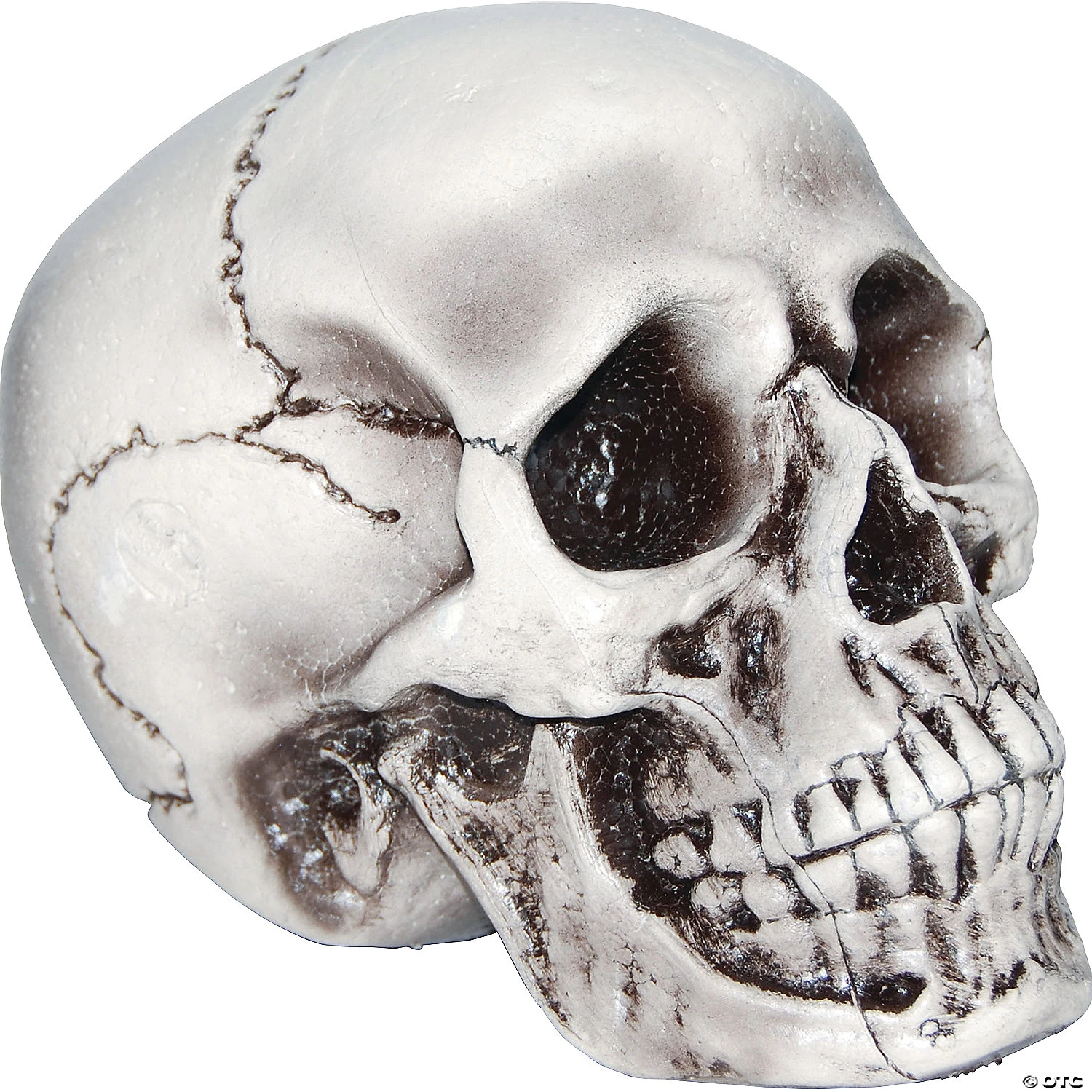 Beige Skull Halloween Decoration 1 Beige Skull Halloween Decoration