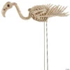 Flamingo Skeleton