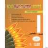 Halloween Lights Orange 100-Count