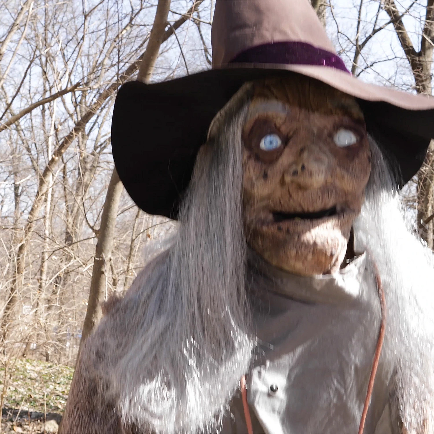 Animated Witch Prop With Servo-Motor 4 Animated Witch Prop With Servo-Motor - Image 4