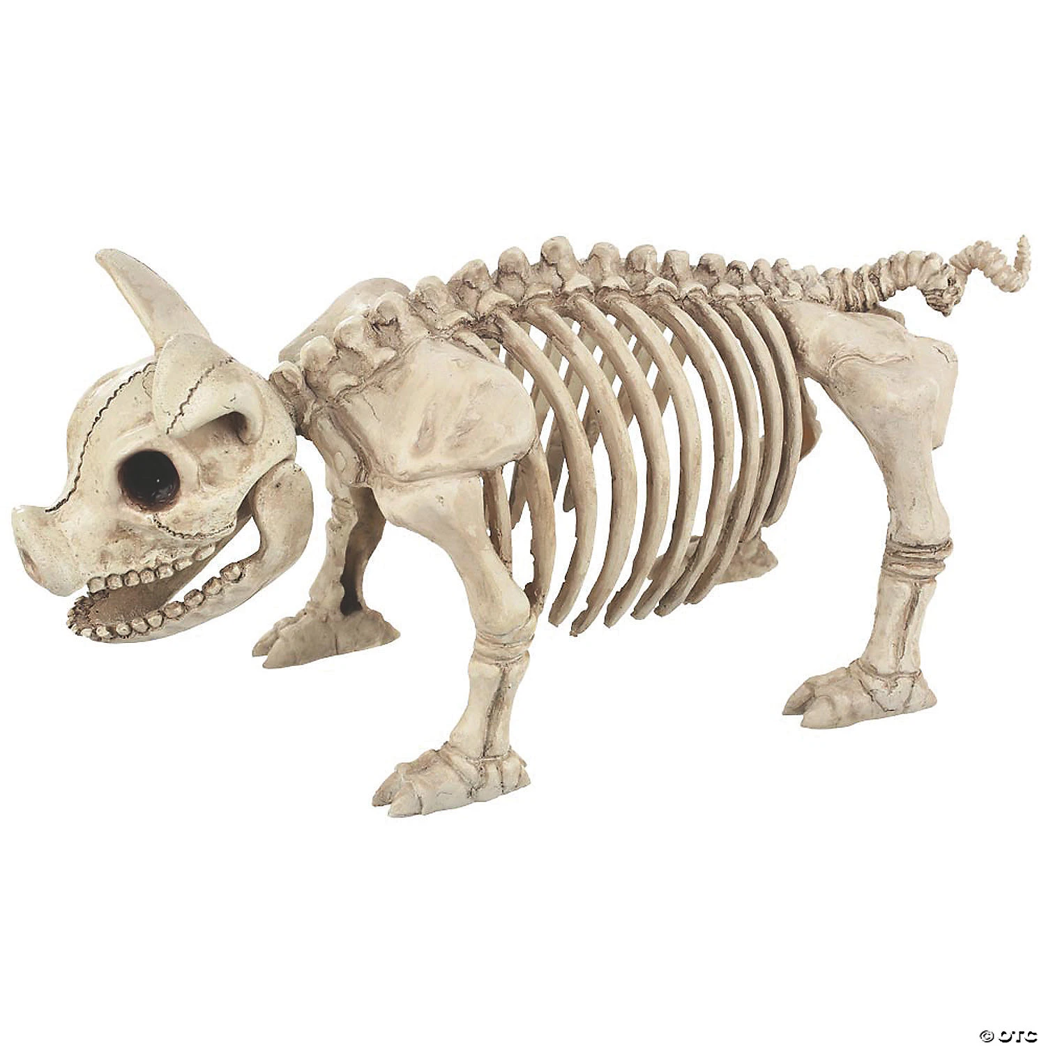 Pig Skeleton Halloween Decoration 1 Pig Skeleton Halloween Decoration