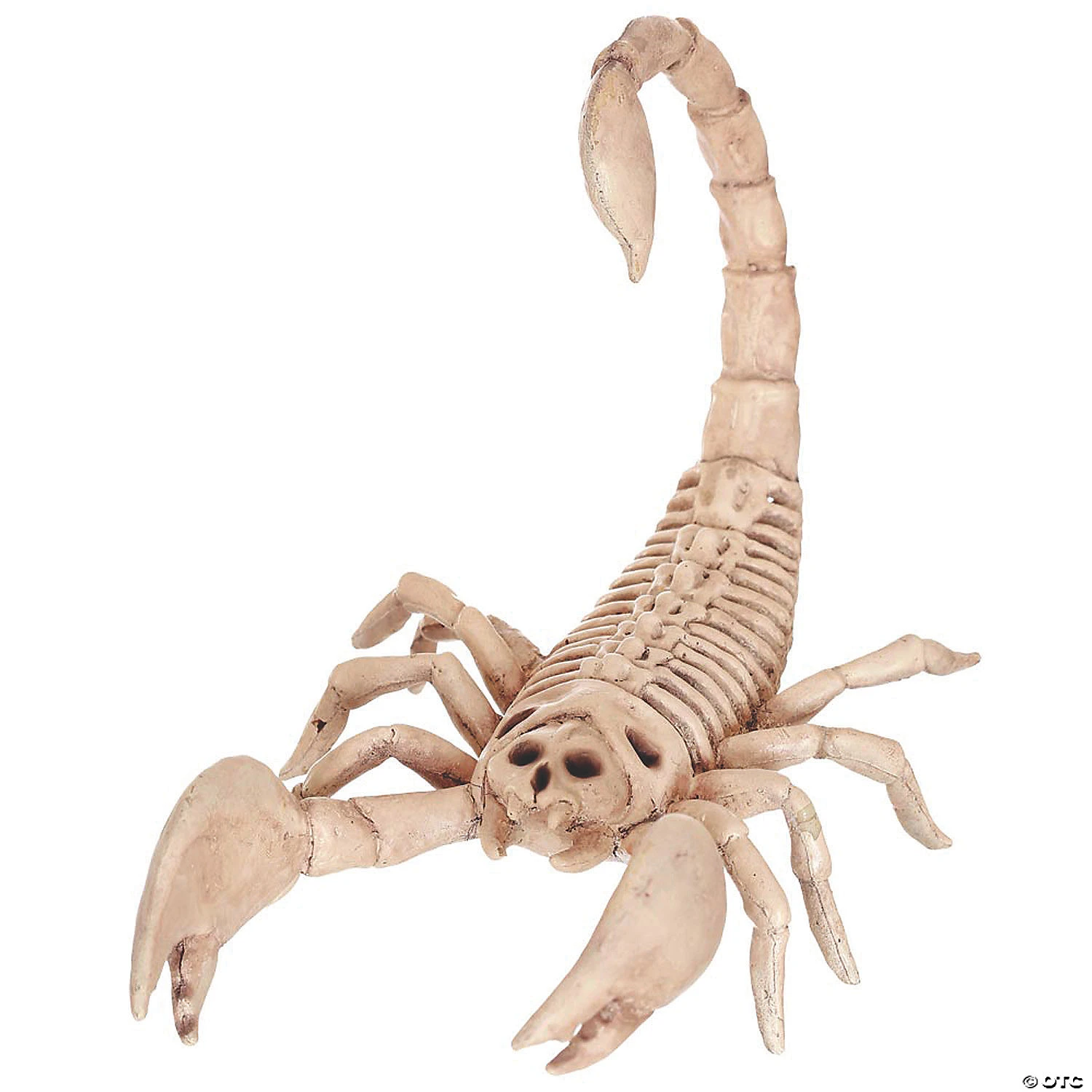 Scorpion Skeleton Halloween Decoration 1 Scorpion Skeleton Halloween Decoration