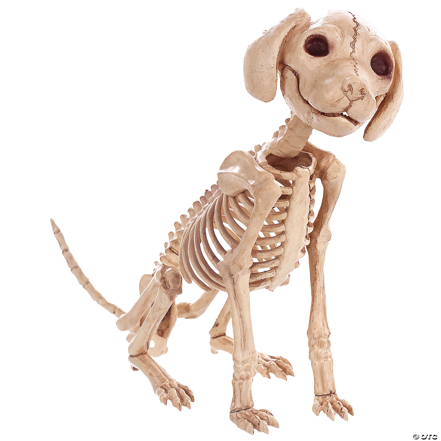 Skelebones Sitting Puppy 1 Skelebones Sitting Puppy
