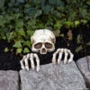 Skeleton Groundbreaker Decoration Set