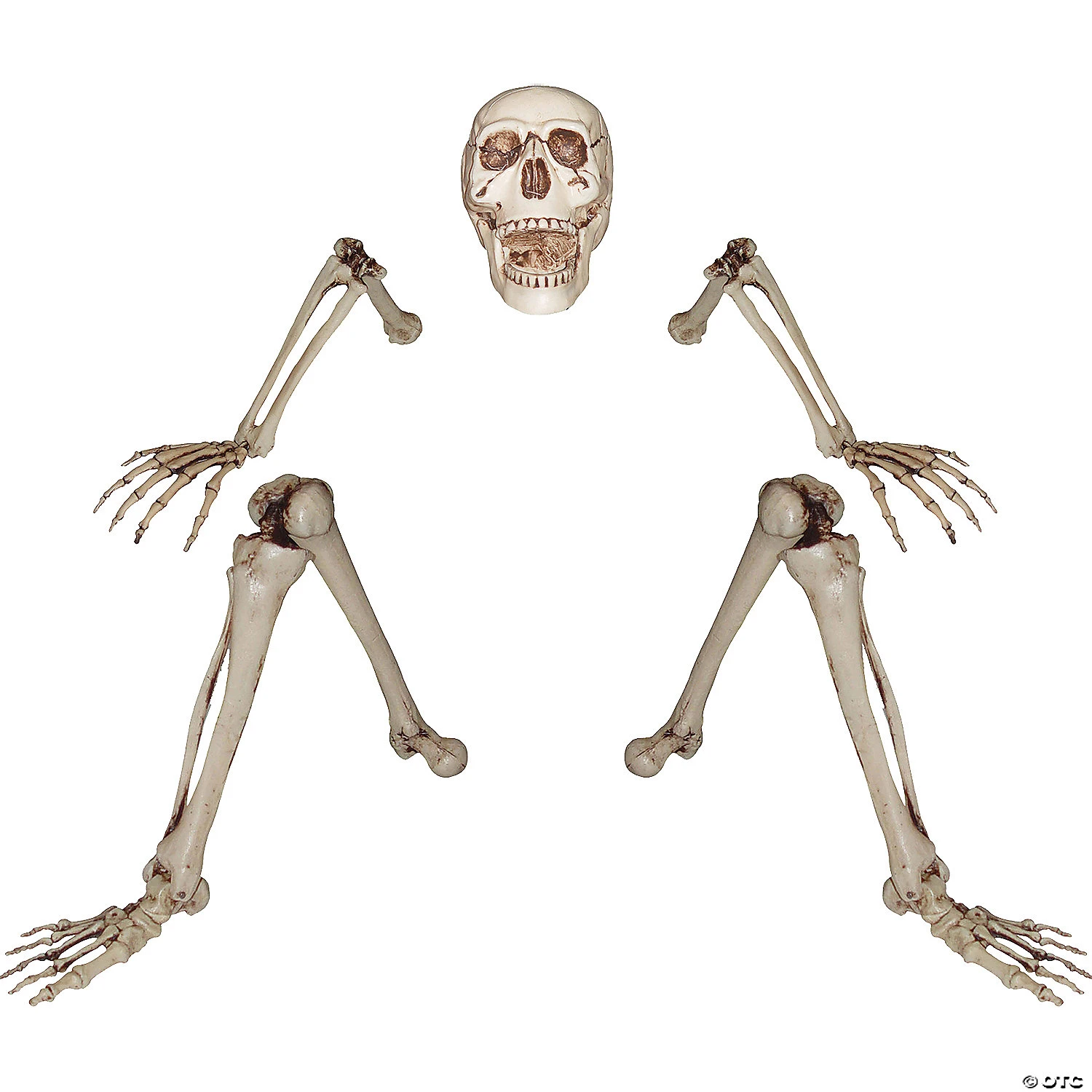 Skeleton Groundbreaker Decoration 2 Skeleton Groundbreaker Decoration - Image 2