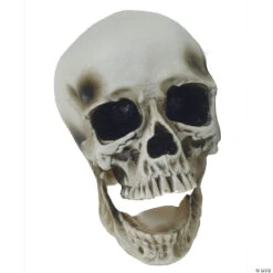 Vinyl Skull Decoration -Halloween Decoration Sale vinyl skull decorationss85694 a02